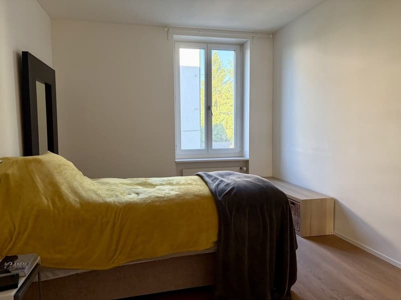 Helle, grosszügige Traumwohnung in Wipkingen/ Spacious and Sunny Dream Apartment in Wipkingen (4)