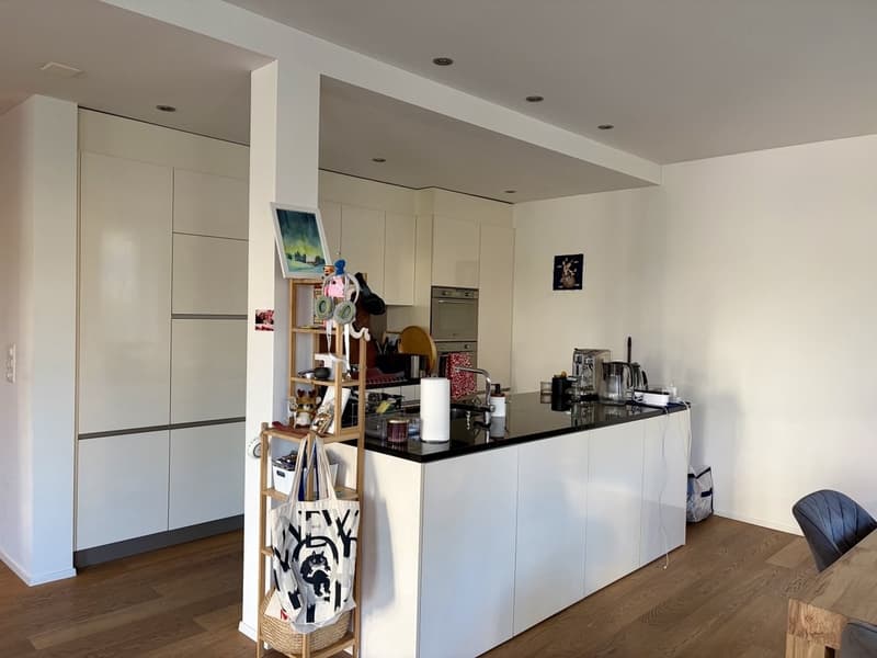 Helle, grosszügige Traumwohnung in Wipkingen/ Spacious and Sunny Dream Apartment in Wipkingen (6)