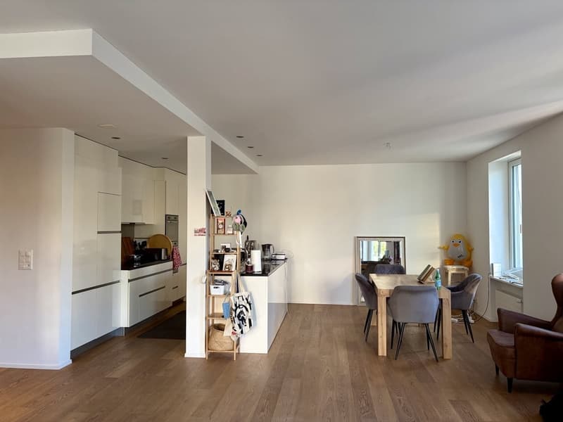 Helle, grosszügige Traumwohnung in Wipkingen/ Spacious and Sunny Dream Apartment in Wipkingen (1)