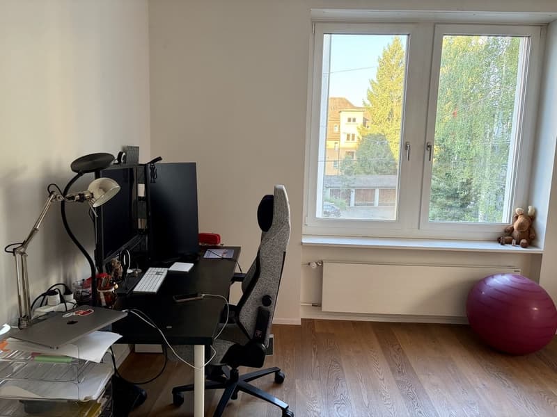 Helle, grosszügige Traumwohnung in Wipkingen/ Spacious and Sunny Dream Apartment in Wipkingen (7)