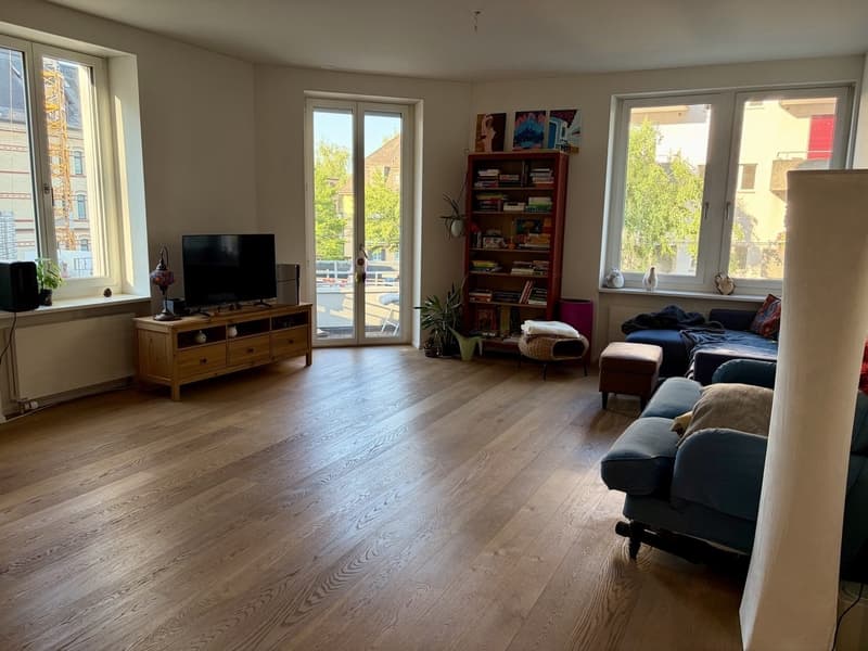 Helle, grosszügige Traumwohnung in Wipkingen/ Spacious and Sunny Dream Apartment in Wipkingen (2)
