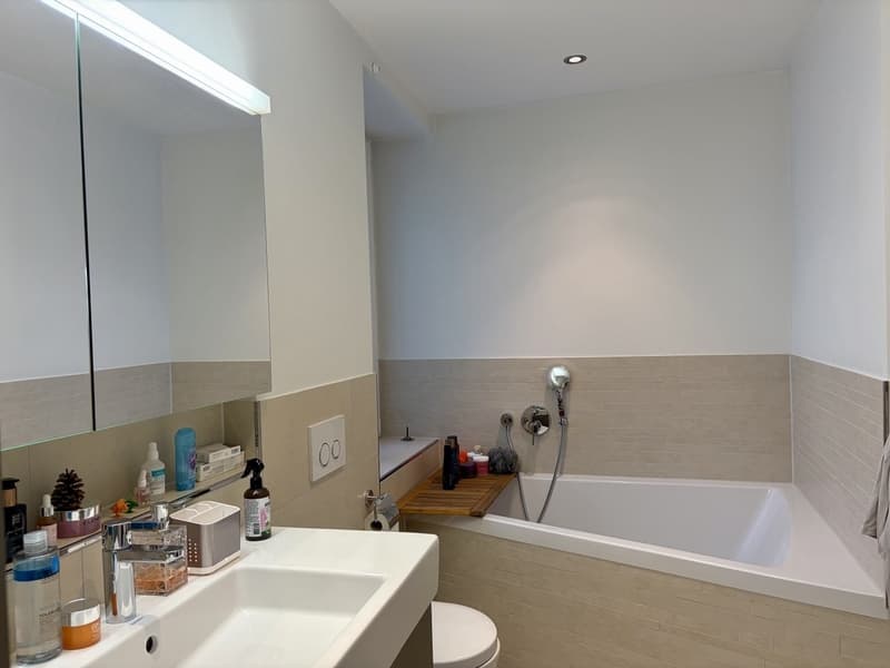 Helle, grosszügige Traumwohnung in Wipkingen/ Spacious and Sunny Dream Apartment in Wipkingen (3)