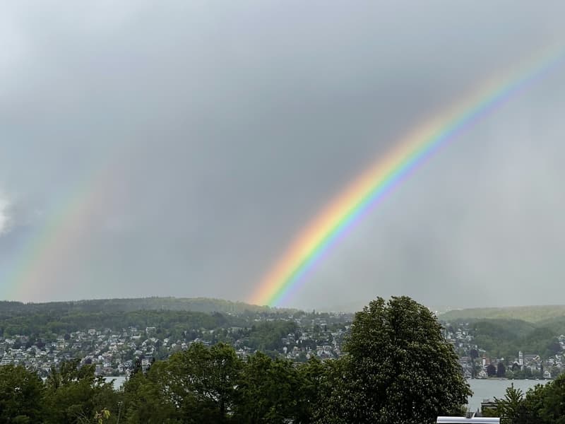 Seeuferblick in Rüschlikon, kürzlich renoviert, Langzeit (12)