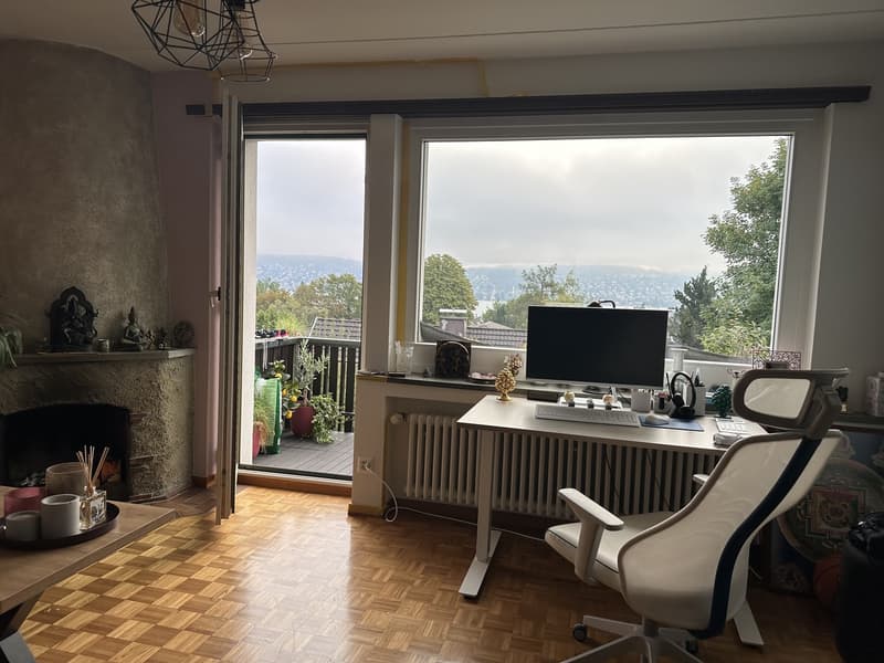 Seeuferblick in Rüschlikon, kürzlich renoviert, Langzeit (1)
