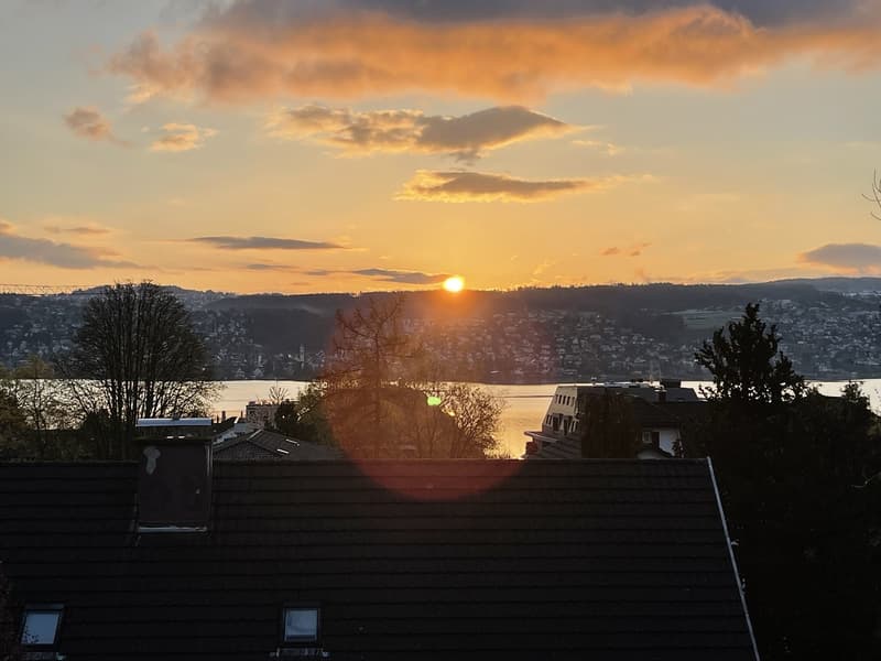 Seeuferblick in Rüschlikon, kürzlich renoviert, Langzeit (13)