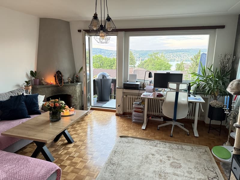 Seeuferblick in Rüschlikon, kürzlich renoviert, Langzeit (10)