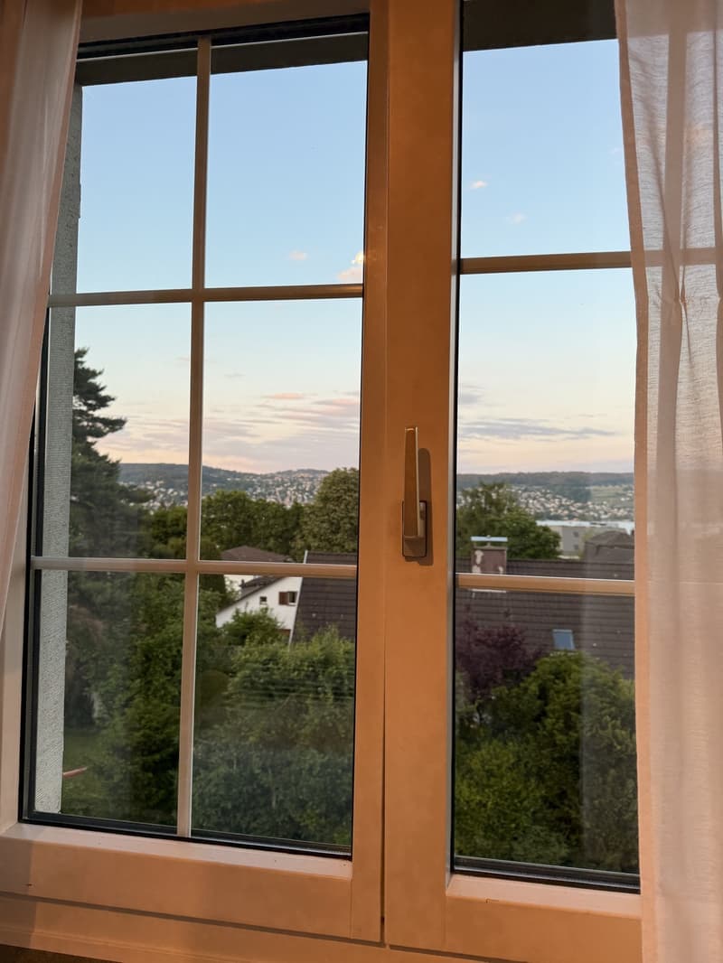 Seeuferblick in Rüschlikon, kürzlich renoviert, Langzeit (7)