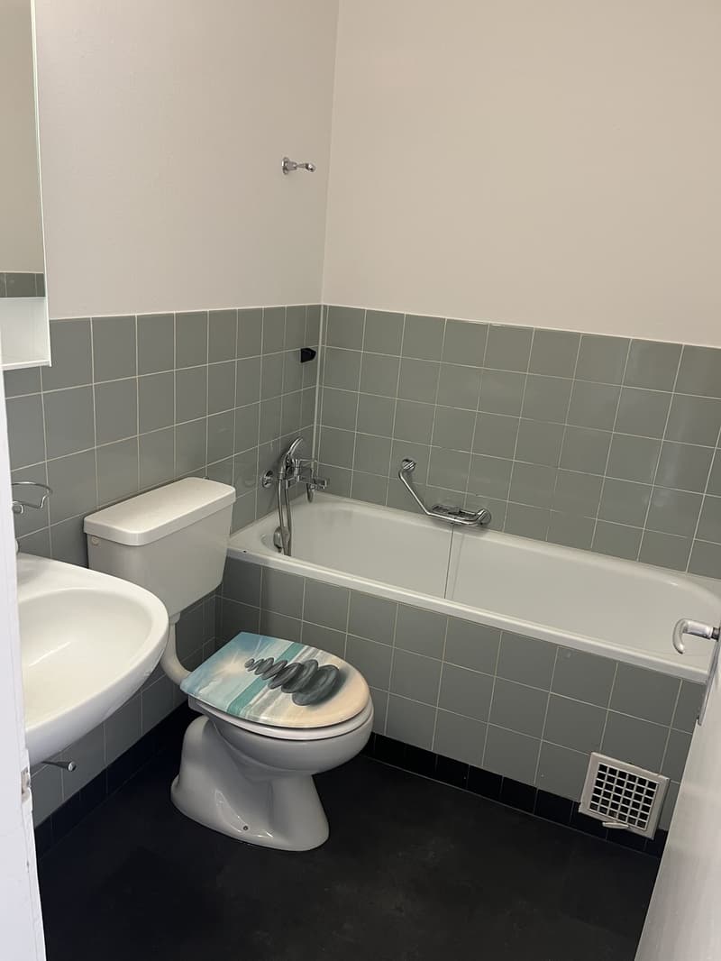 Gemütliche 3-Zimmerwohnung (7)