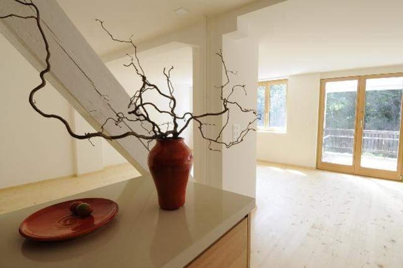 Altbau modern interpretiert - 3.5 Zimmer, Terrasse und Balkon, 110m2 (3)