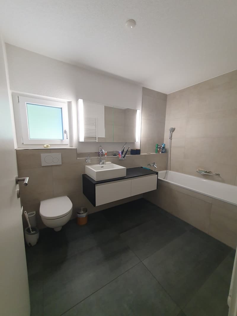 4.5 Room Apartment, 3613 Steffisburg (6)