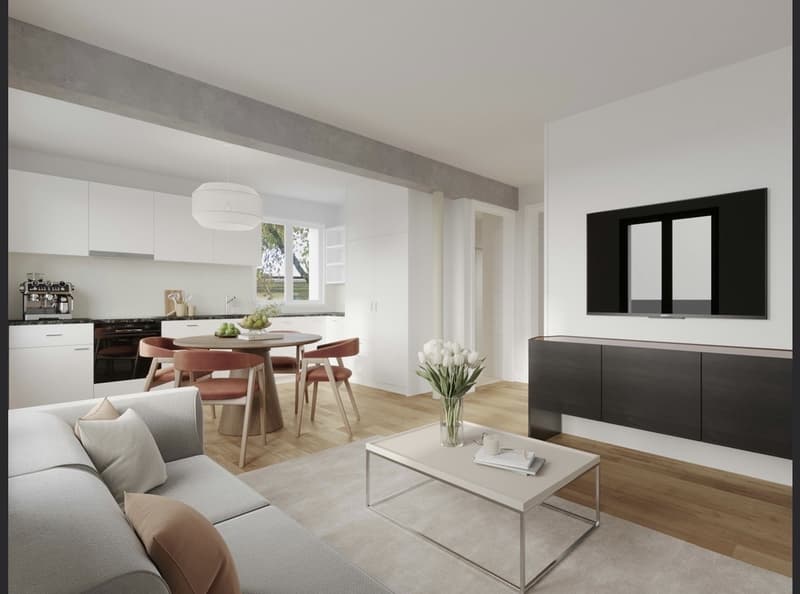 First-time rental of a newly renovated Lorraine apartment (1)