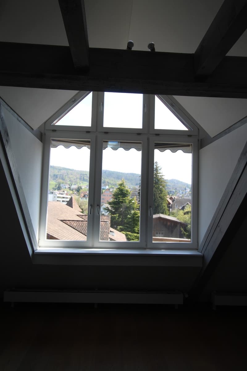 Aussergewöhnliche Loft-Maisonette mit Galerie  stilvoll wohnen nähe See (10)