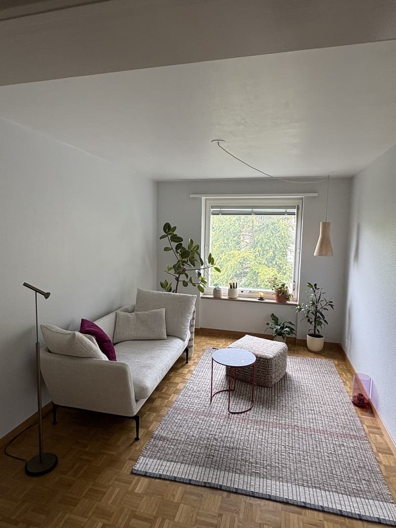 Appartement spacieux de 78 m² meublé avec bureau à domicile, à quelques pas de l'ETH, de l'Université et du centre-ville de Zurich (3)