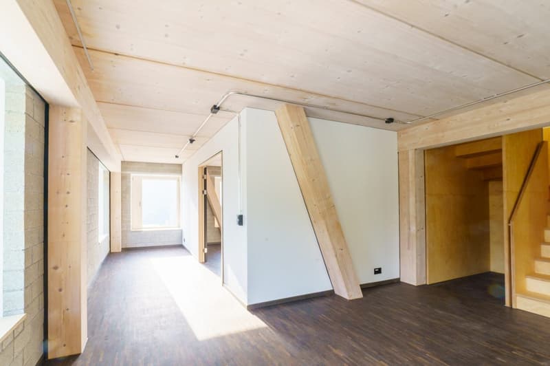 4.5-Zimmer-Maisonette mit Dachterrasse - Neubau, Erstbezug, Termen (13)