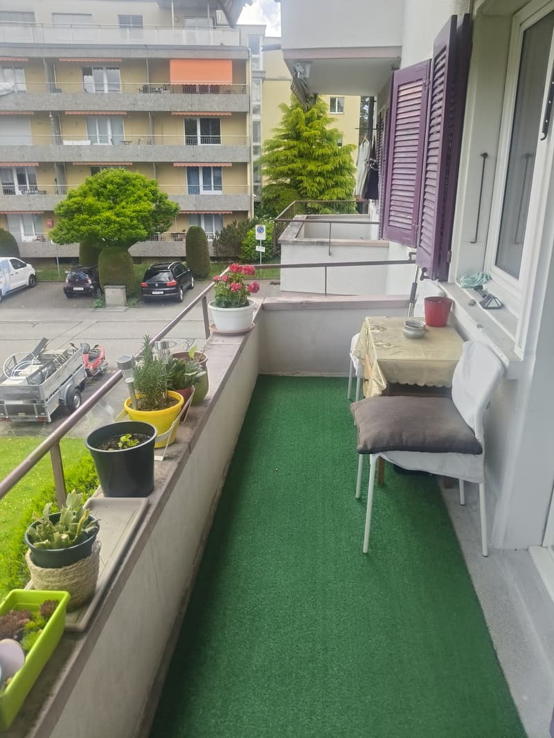 Incantevole appartamento di 2 camere con balcone in una posizione tranquilla e centrale a Langendorf (2)