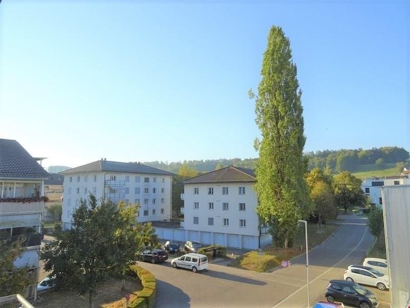 Spacious apartment in a quiet location (1)