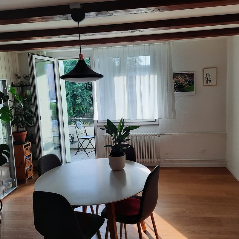 Frisch renovierte,helle 3-Zimmer Wohnung im Grossacher/Erlenweg 10 Hombrechtikon (1)