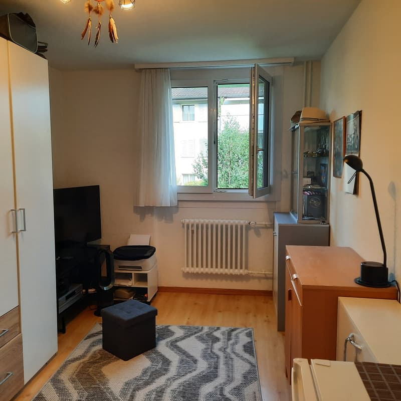 Frisch renovierte,helle 3-Zimmer Wohnung im Grossacher/Erlenweg 10 Hombrechtikon (6)