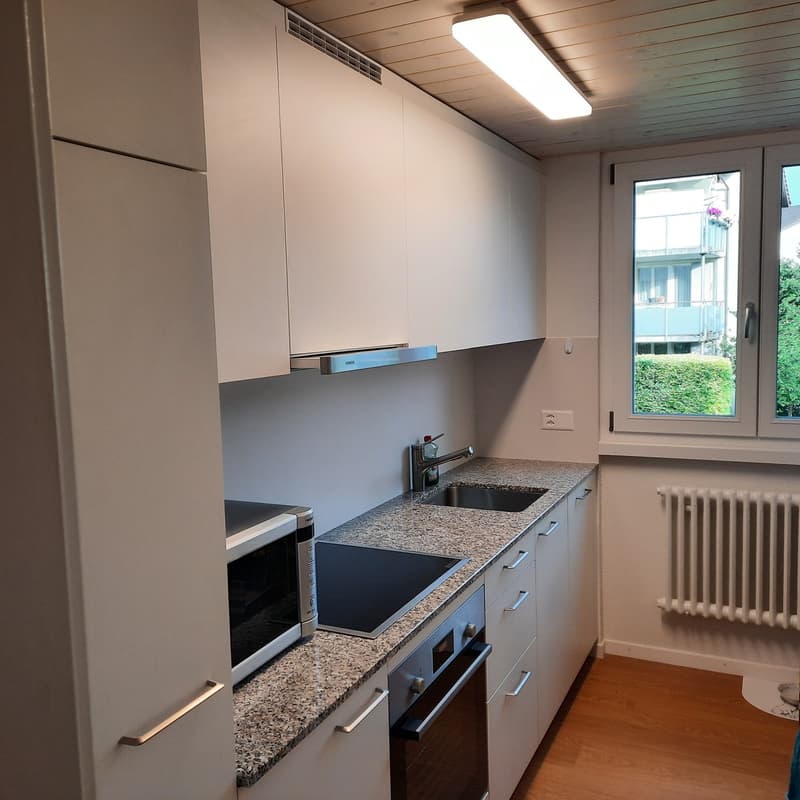 Frisch renovierte,helle 3-Zimmer Wohnung im Grossacher/Erlenweg 10 Hombrechtikon (10)