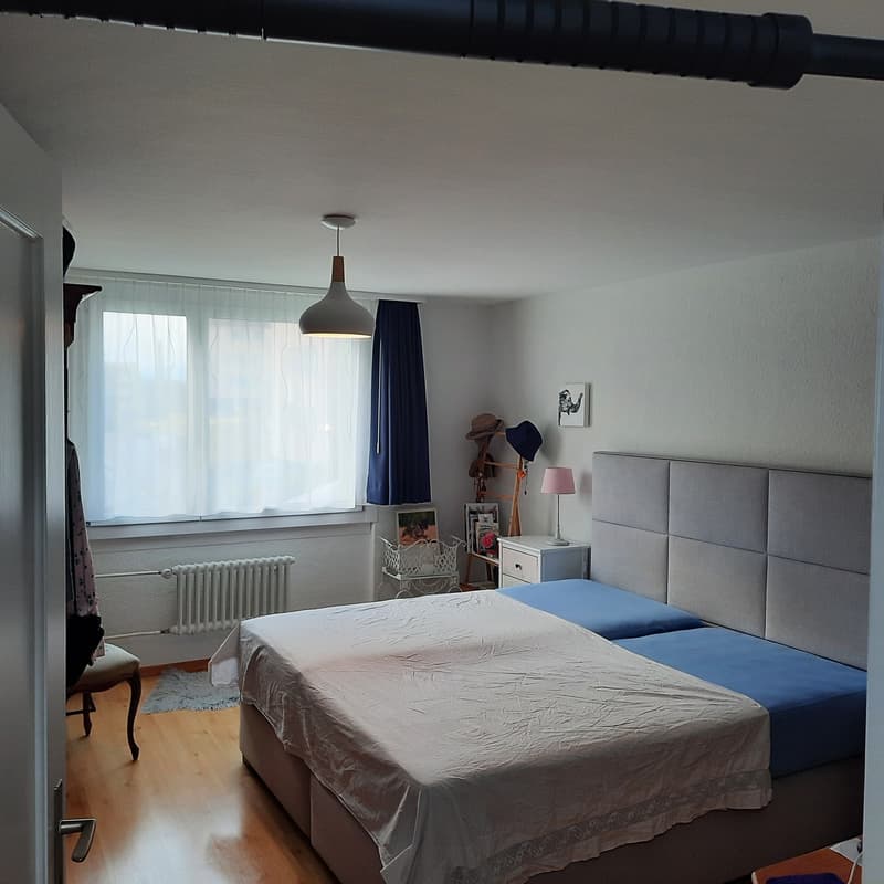 Frisch renovierte,helle 3-Zimmer Wohnung im Grossacher/Erlenweg 10 Hombrechtikon (5)