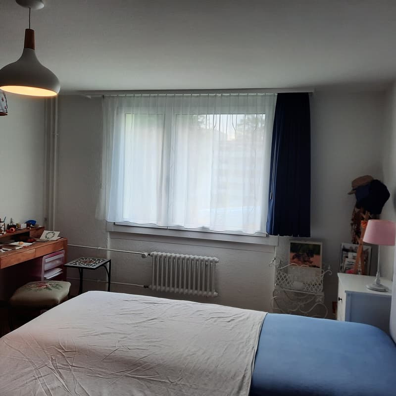 Frisch renovierte,helle 3-Zimmer Wohnung im Grossacher/Erlenweg 10 Hombrechtikon (3)