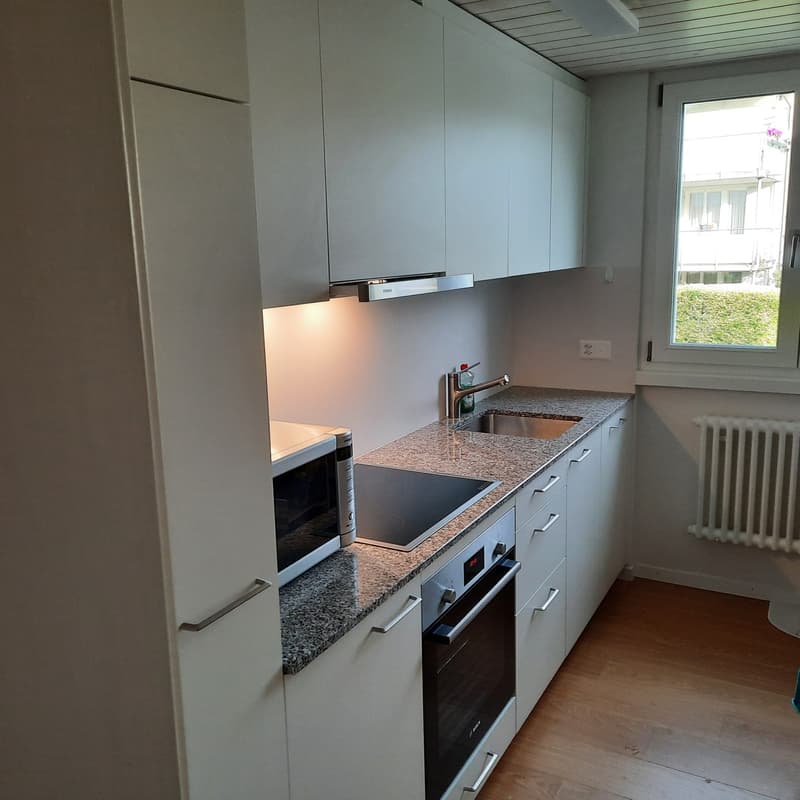 Frisch renovierte,helle 3-Zimmer Wohnung im Grossacher/Erlenweg 10 Hombrechtikon (11)