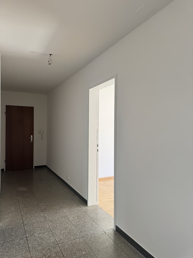 Geräumige 3-Zimmerwohnung im Zentrum von Binningen (8)