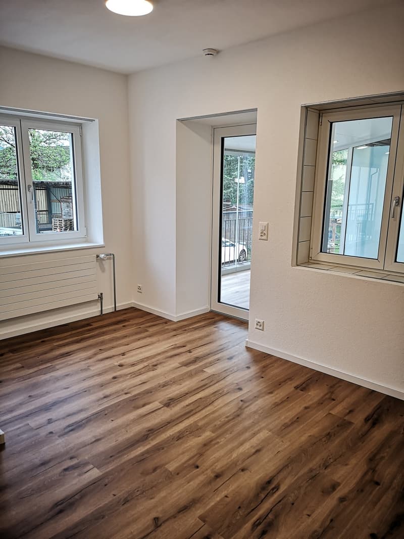 Studio No. 6 (Apartment + Winter Garden 33 m2) incl. ancillary costs and parking space (2)