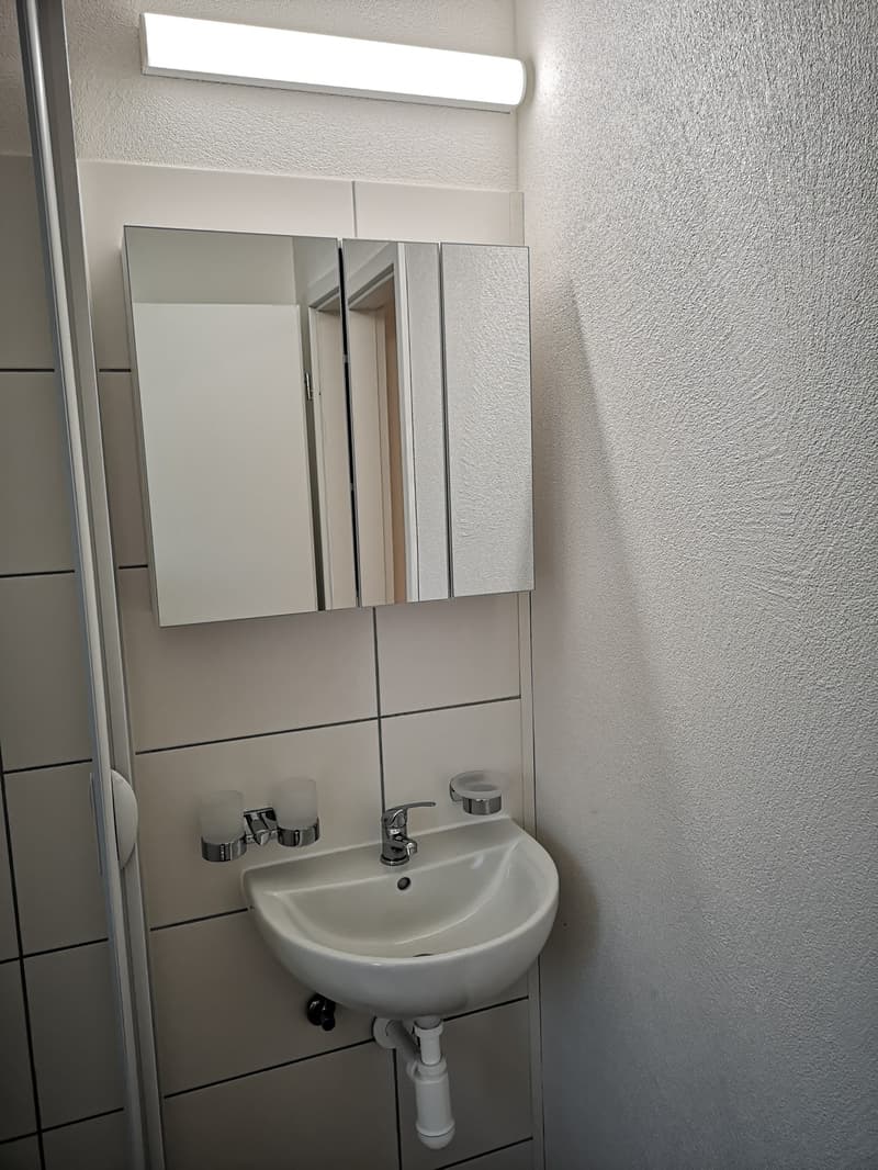 Studio No. 6 (Apartment + Winter Garden 33 m2) incl. ancillary costs and parking space (8)