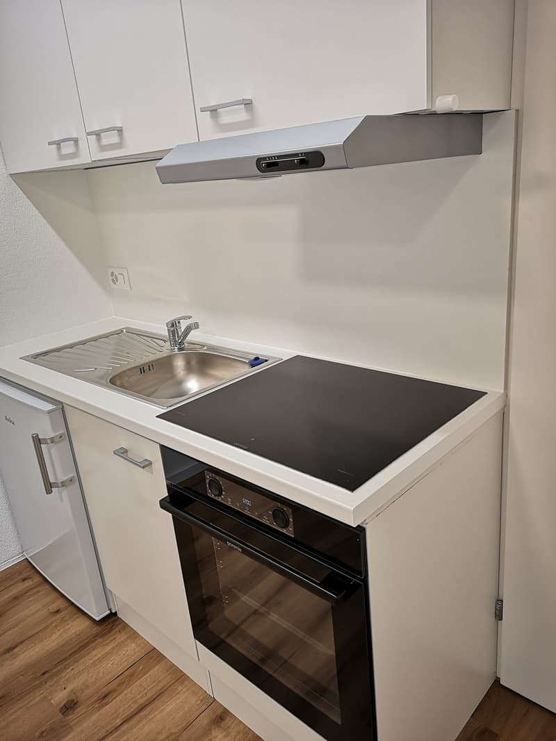 Studio No. 6 (Apartment + Winter Garden 33 m2) incl. ancillary costs and parking space (12)