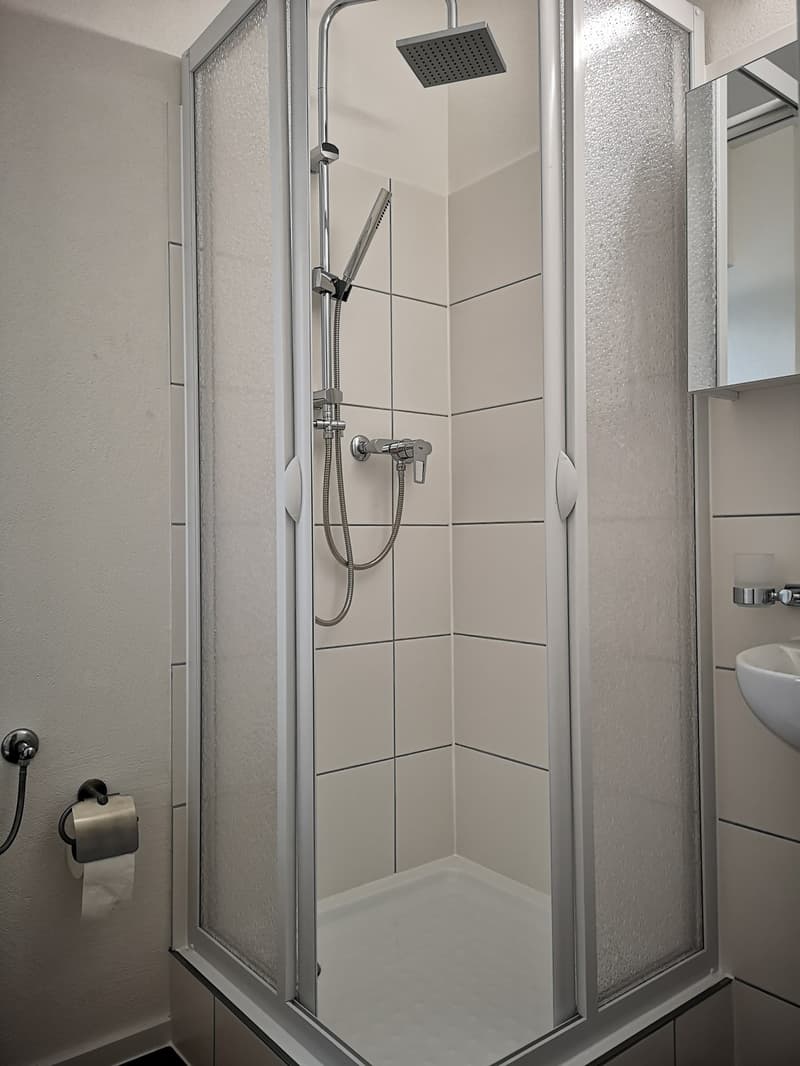 Studio No. 6 (Apartment + Winter Garden 33 m2) incl. ancillary costs and parking space (11)