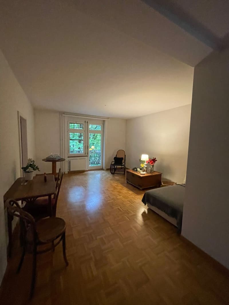 Appartement spacieux de 90m2 avec 3,5 pièces (1)