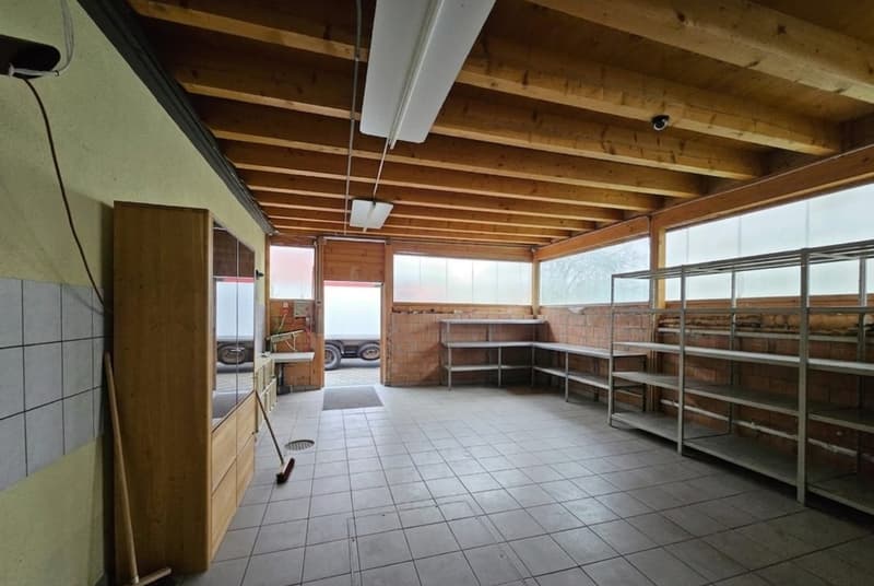 Vielseitige Gewerbefläche mit Gewerbeküche, Doppelgarage & 10 Parkplätzen (5)