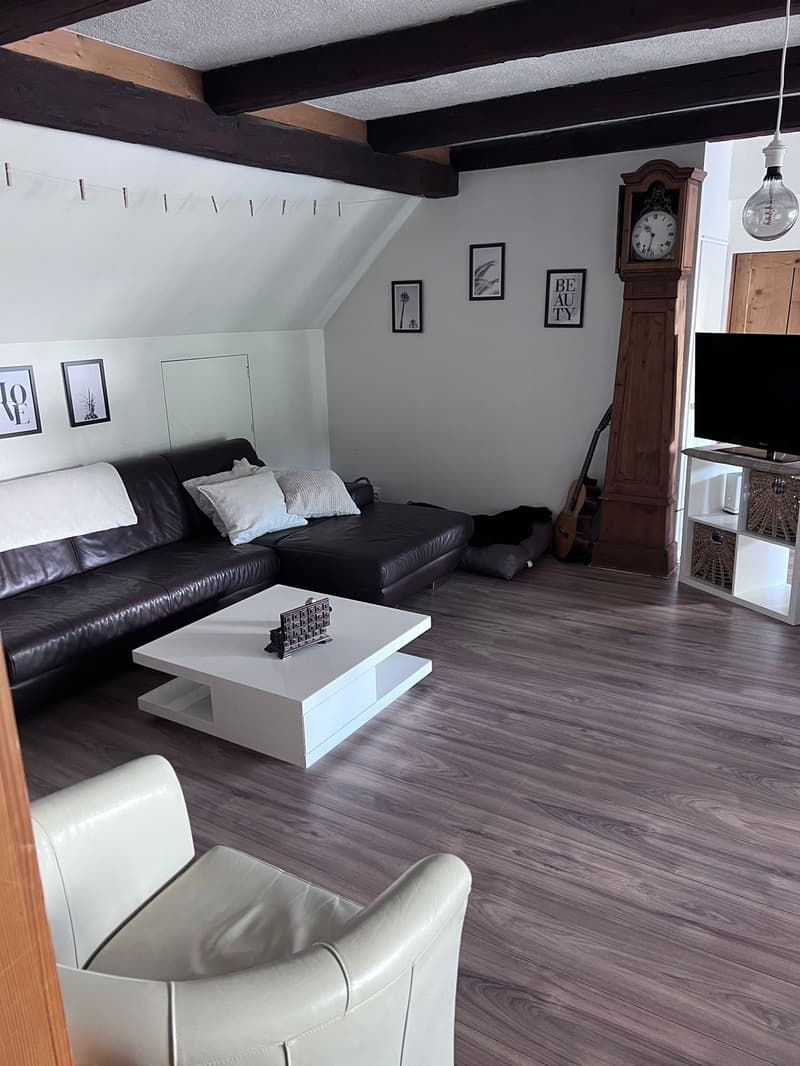 Bello appartamento mansardato accogliente (3)