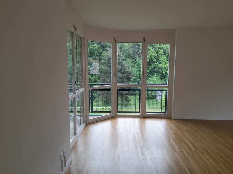6 Stanze Appartamento Attico-, Maisonetta con Vista sul Lago (4)