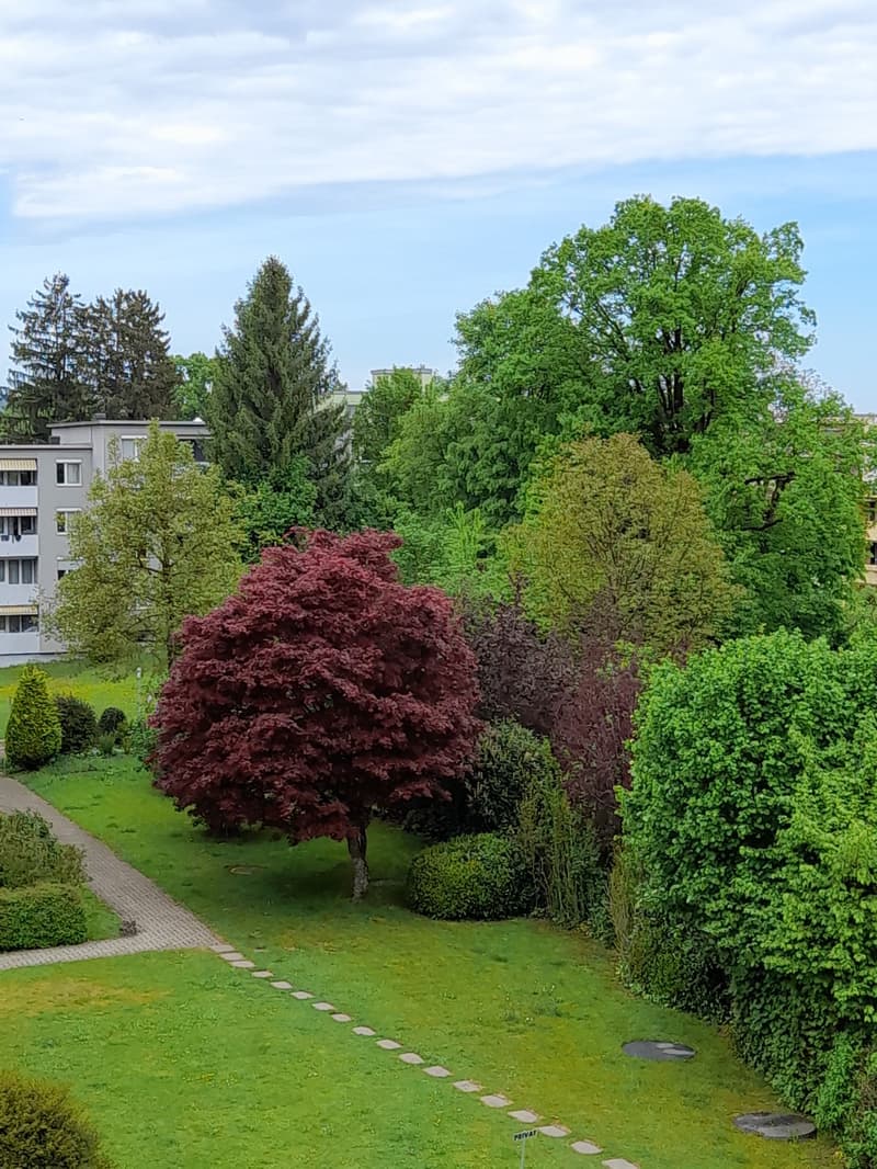 6 Stanze Appartamento Attico-, Maisonetta con Vista sul Lago (9)