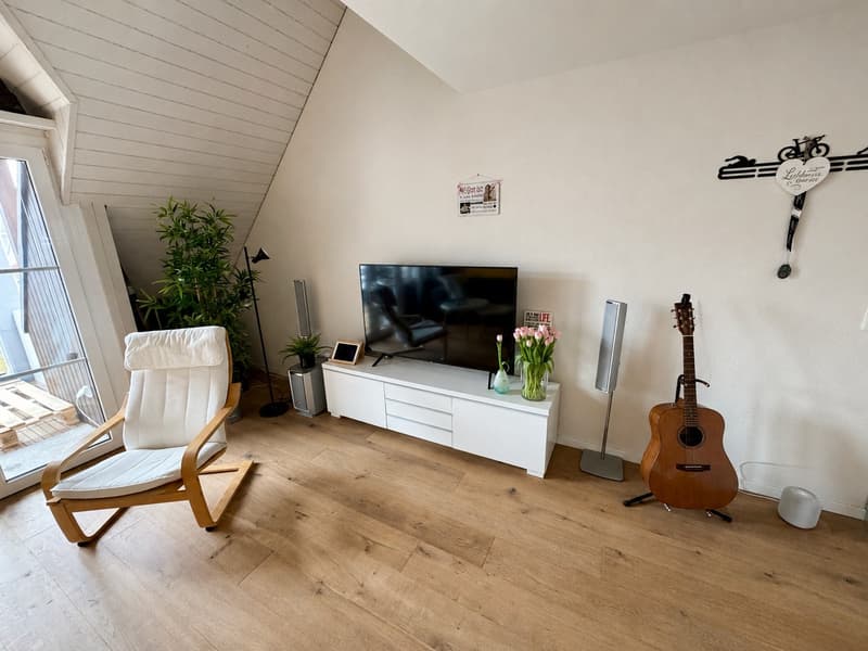 Charmante Maisonnette Appartement (118m2) avec Cheminée et deux Balcons (3)