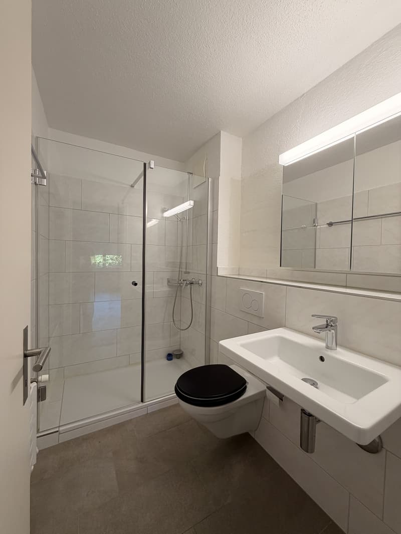 Spacious living in a quiet location, freshly renovated 3.5-room apartment in Zürich-Altstetten (8)