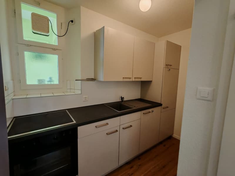 Delizioso appartamento 1.5 locali a Olten (5)