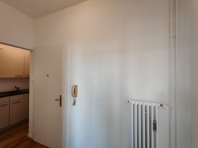 Delizioso appartamento 1.5 locali a Olten (4)