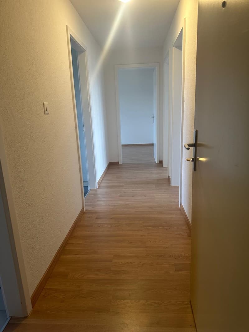 The perfect apartment for you!! (3)