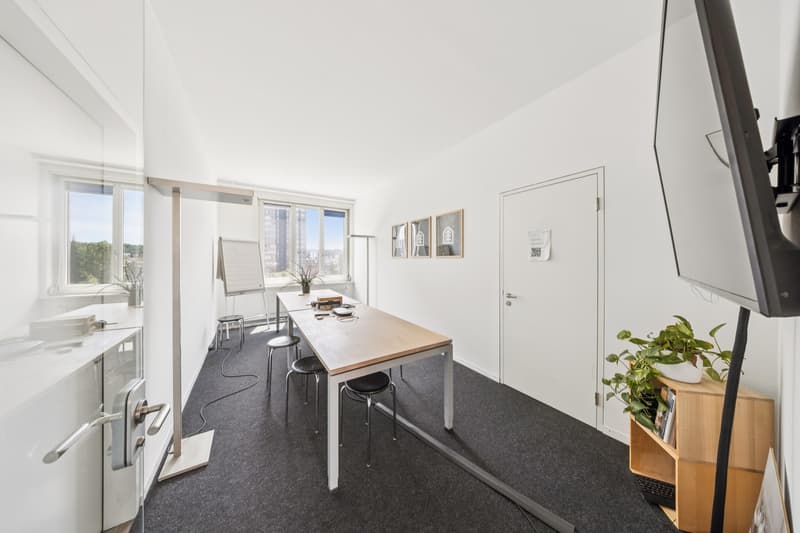 510 m2 Commercial Space (9)