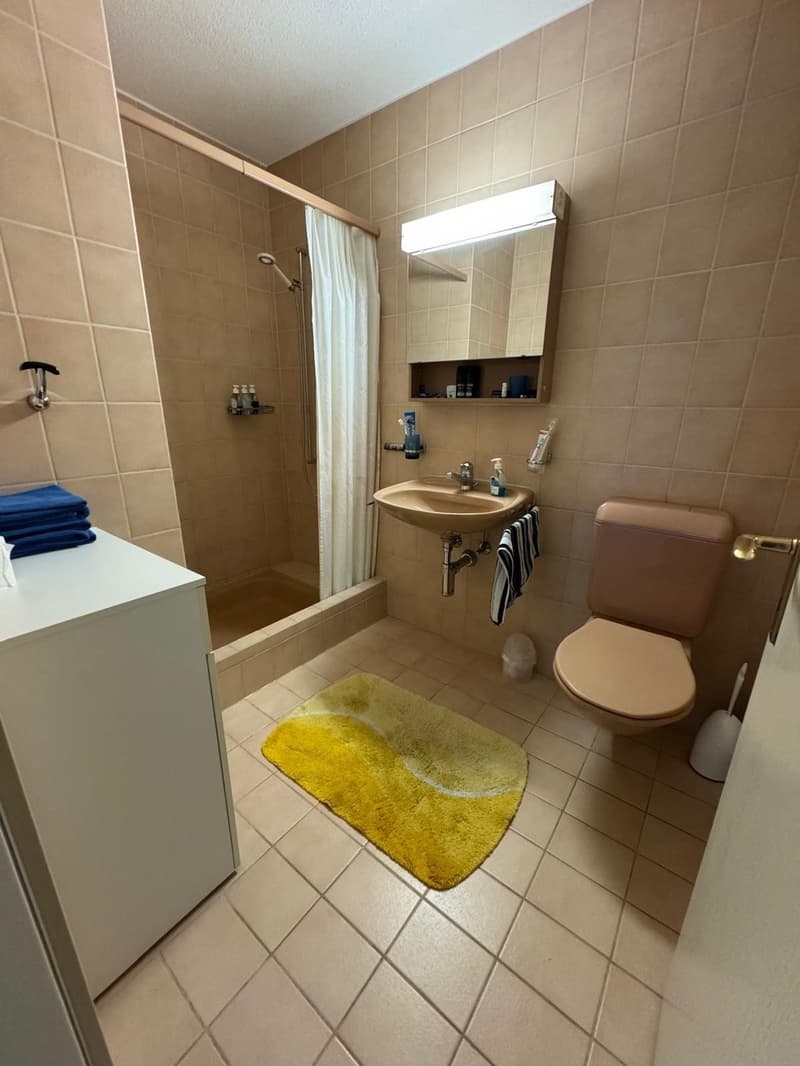 4 ½ room apartment for rent in Wetzikon ZH (10)