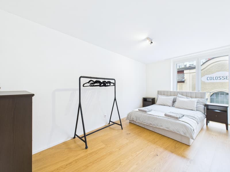 Locataire Recherché pour Appartement en Emplacement Idéal (4)