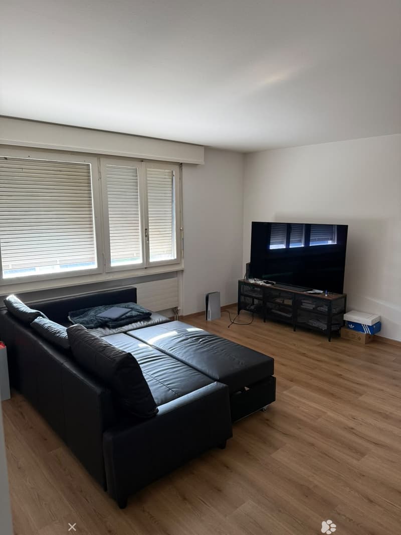 Helle 2.5-Zimmerwohnung an zentraler Lage in Biel (2)
