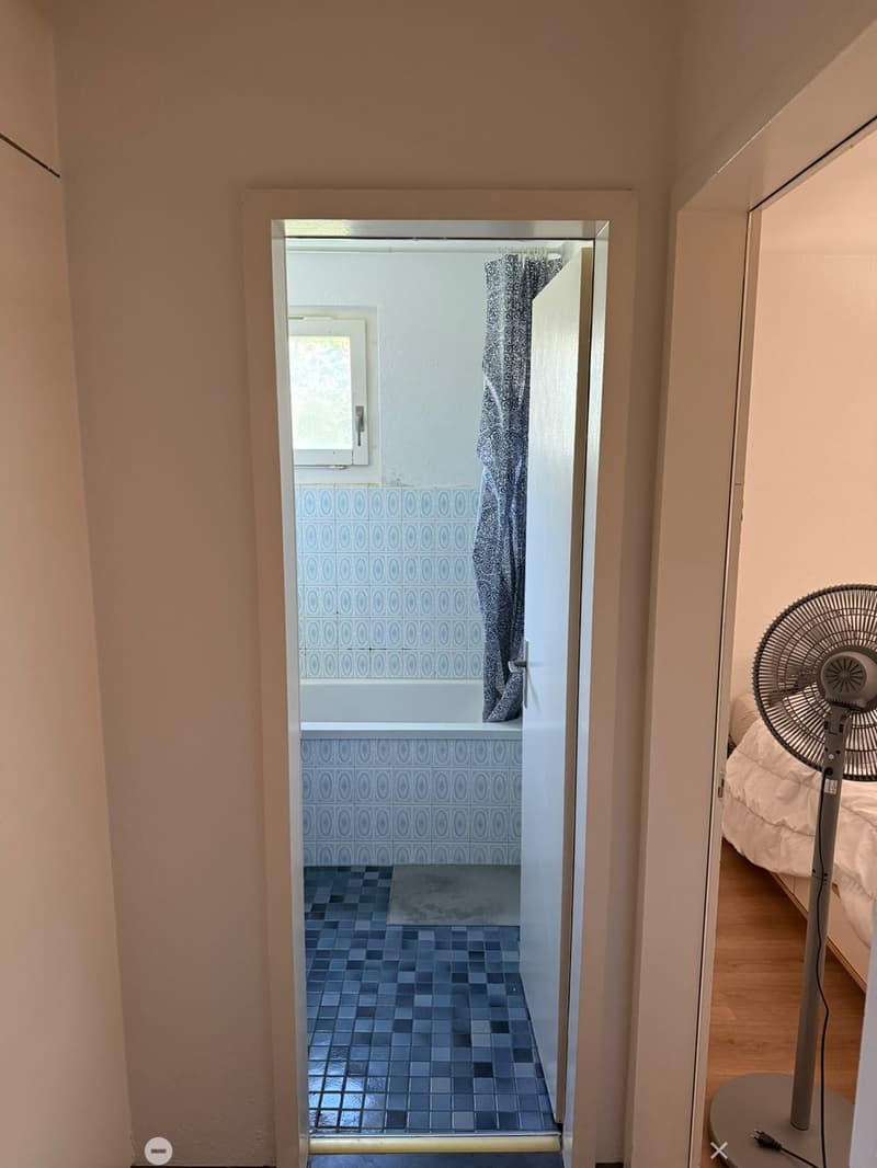 Helle 2.5-Zimmerwohnung an zentraler Lage in Biel (5)