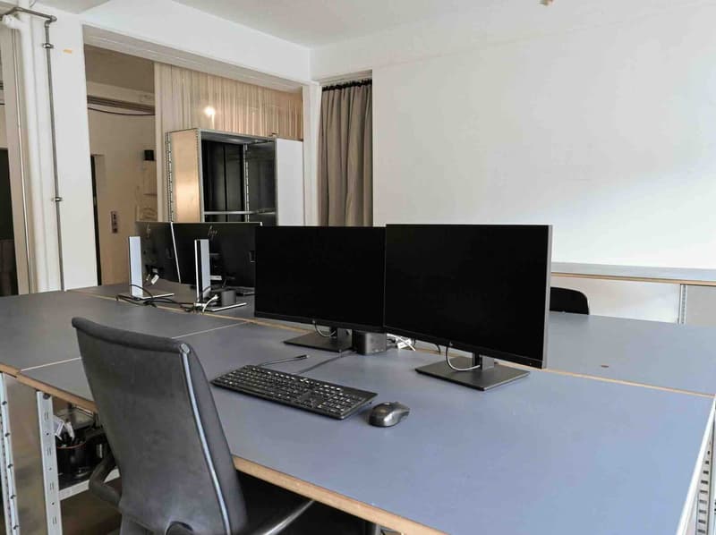Spazio di ufficio arredato in Loft38 Zurigo-Binz (4)