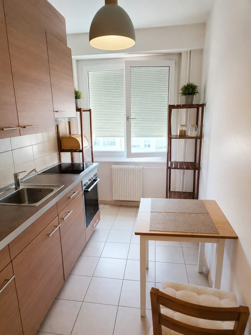 Reprise de bail Appartement 4 pièces avec balcon Avenue Wendt, Genève (3)