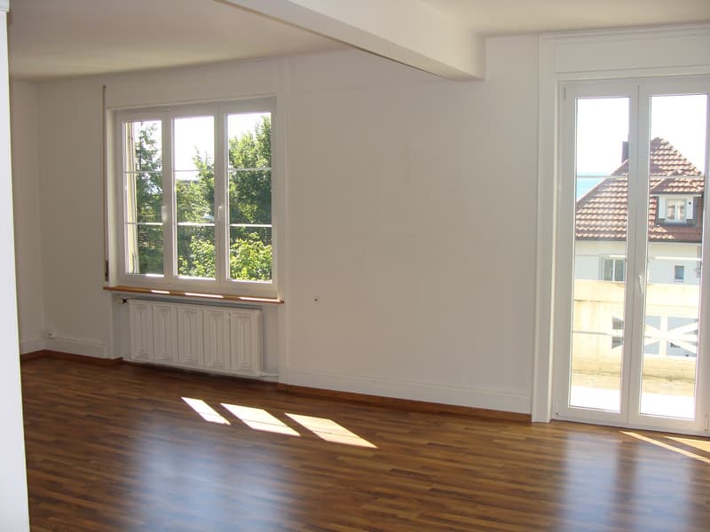 Grosszügige Altbauwohnung in Privatliegenschaft mit Charme (1)