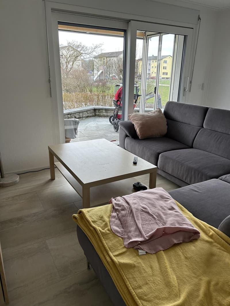 Exclusive, detached single-family house on the high ground floor with a large garden in Brugg (2)